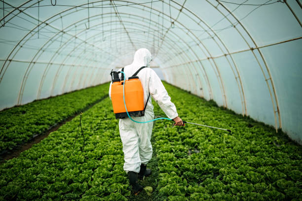 Best Pest Control for Restaurants  in Lakeside, TX