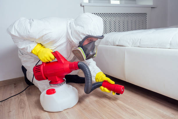 Best Mosquito Control Services  in Lakeside, TX