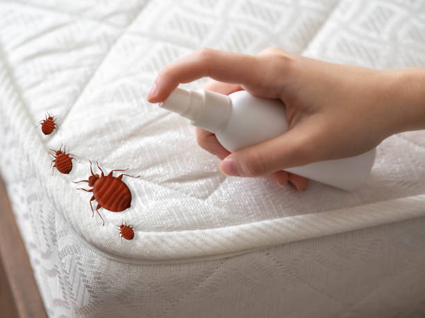 Best Pest Prevention Services  in Lakeside, TX