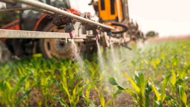 Best Commercial Pest Control Services  in Lakeside, TX